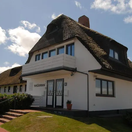 D Wilting In The House