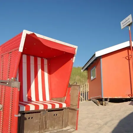 D Wilting In The House דירה