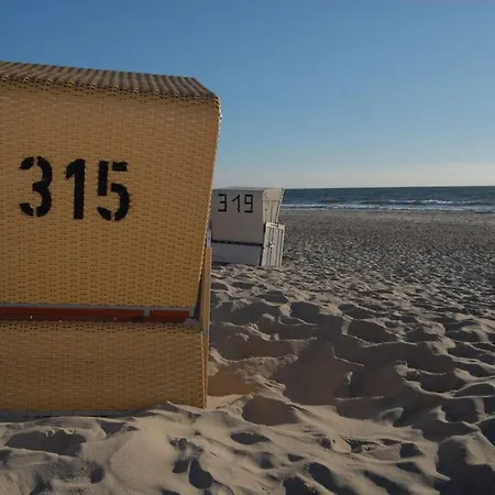 דירה D Wilting In The House *