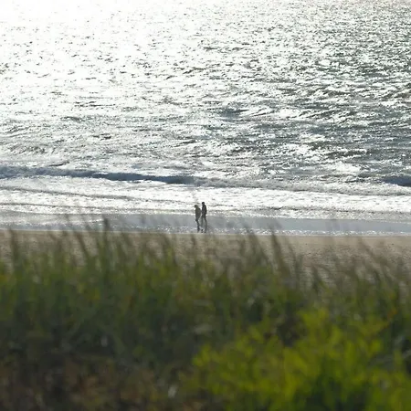 דירה D Wilting In The House